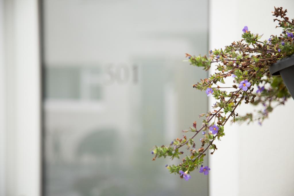 Kerno Apartments Reykjavík Zewnętrze zdjęcie