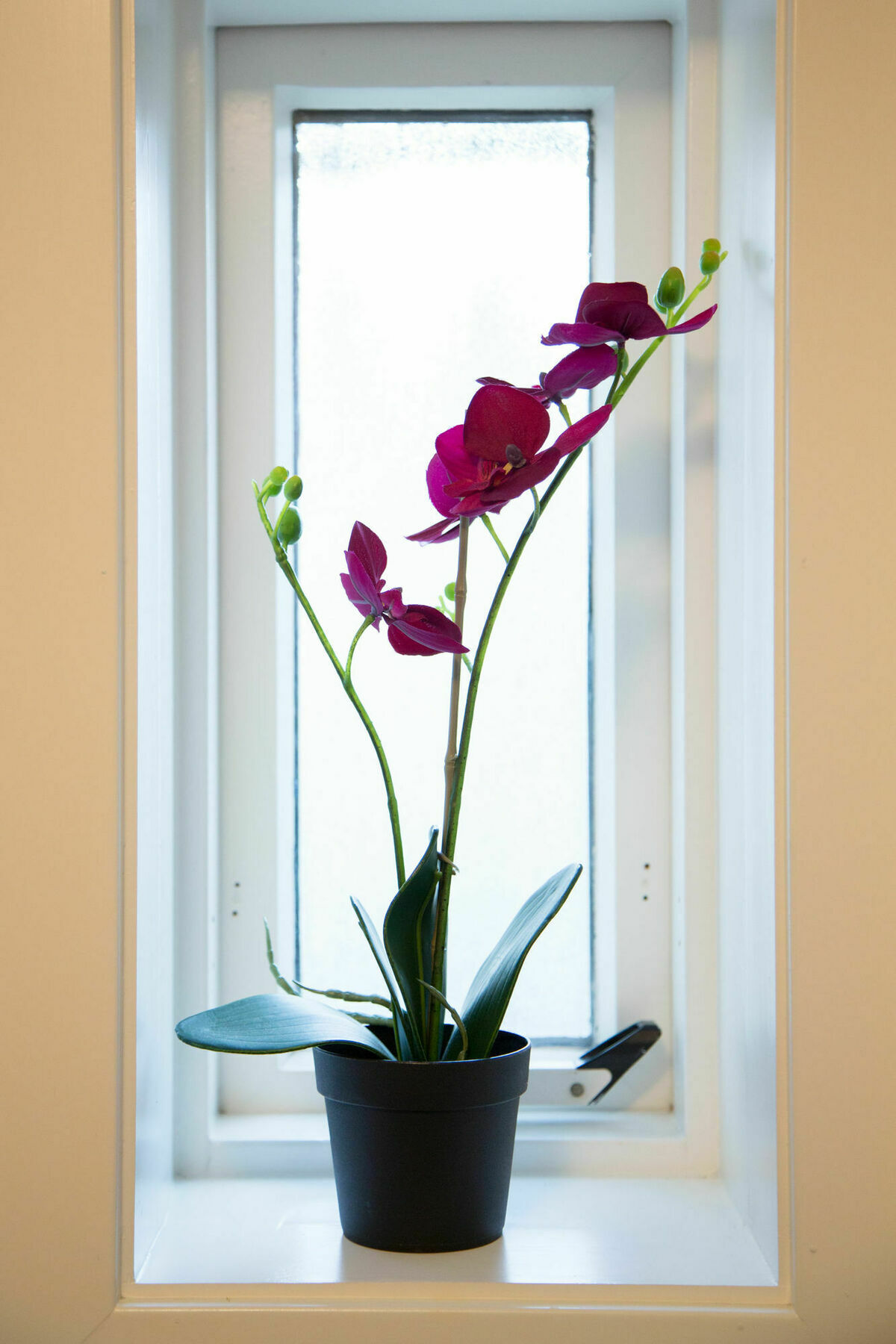 Kerno Apartments Reykjavík Zewnętrze zdjęcie